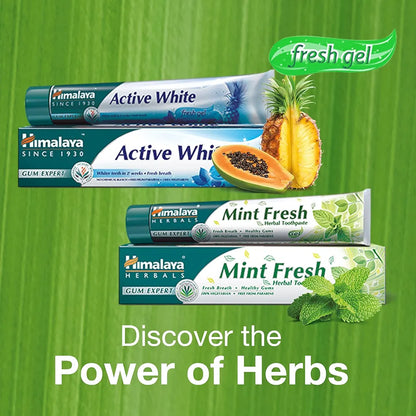 Himalaya Mint Fresh Herbal Toothpaste