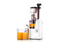 SKG Slow Masticating Juicer Cold Press 36 RPM Extractor