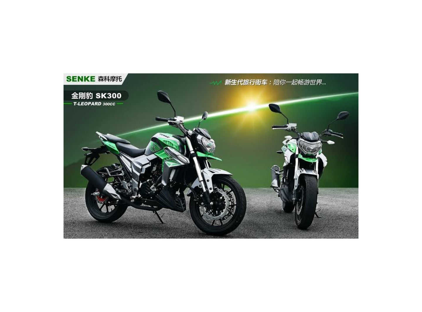 Senke SK300CC Model 2022