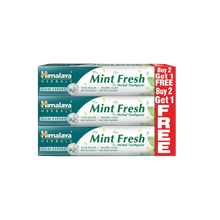 Himalaya Mint Fresh Herbal Toothpaste